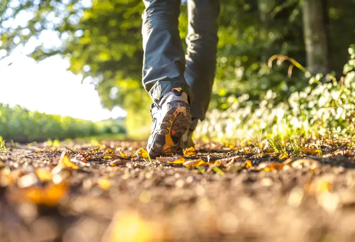 Persoană care se plimbă prin pădure pentru a reduce efectele zgomotului urban