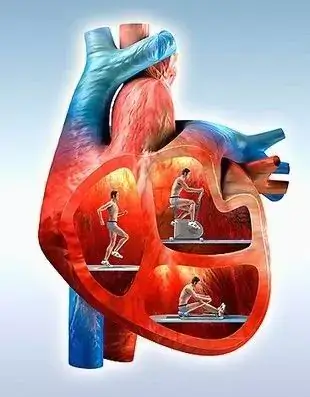 Beneficiile activității fizice pentru sănătatea inimii și prevenția bolilor cardiovasculare