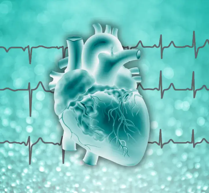 consult cardiologic în Brașov pentru monitorizarea inimii și prevenirea aritmiilor