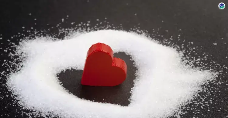 Diabetul zaharat tip 2 și riscul cardiovascular explicate pe înțelesul pacienților