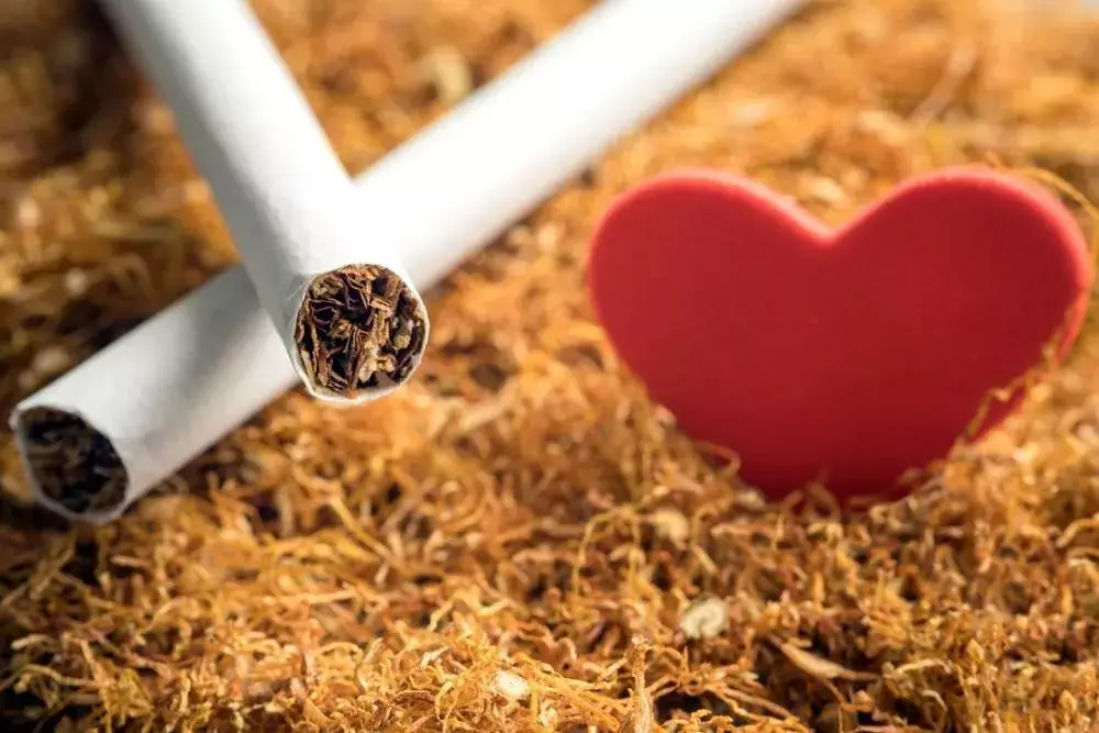 Fumatul și riscul cardiovascular afectează inima și vasele de sânge