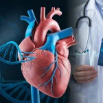 Genetica in cardiologie si mostenirea bolilor de inima