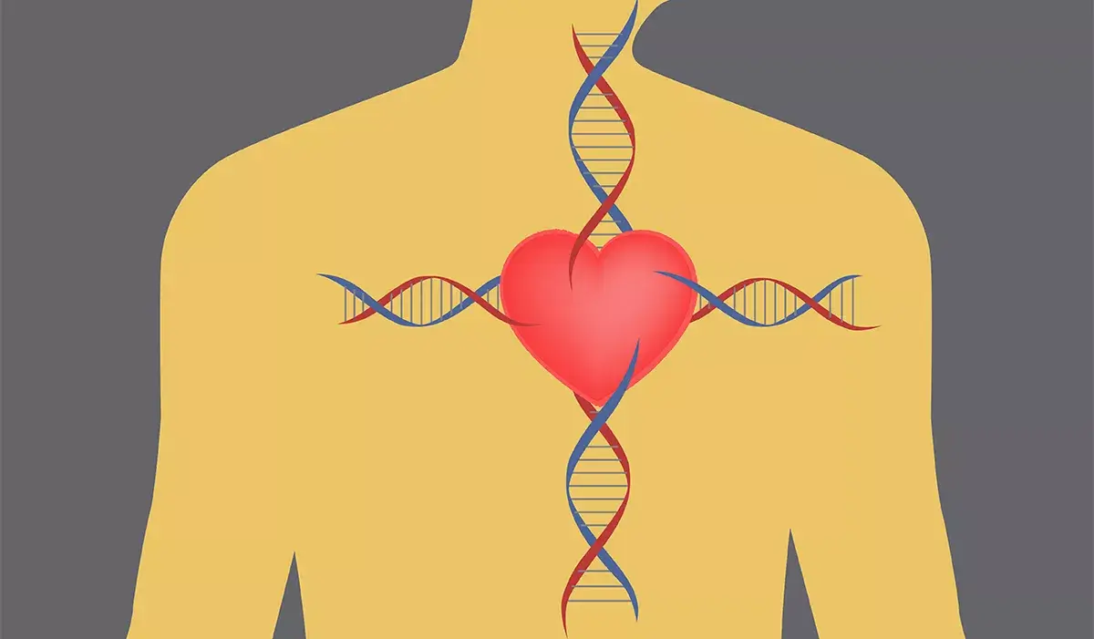 Bolile de inimă se moștenesc – risc genetic și istoric familial cardiovascular