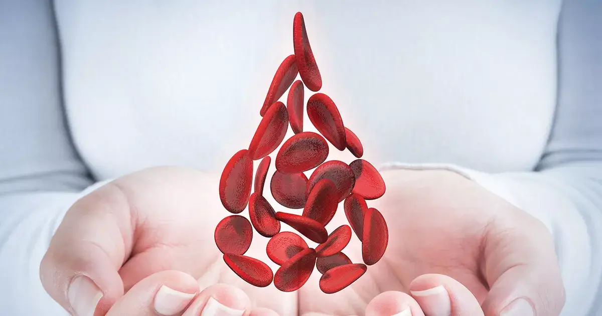 Evaluare cardiologică pentru stabilirea indicației de anticoagulant în fibrilație atrială