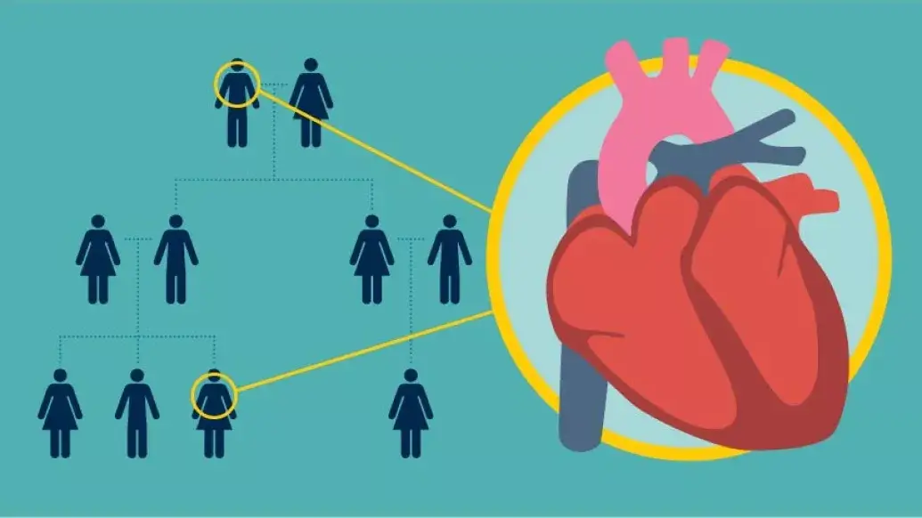 Arbore genealogic care ilustrează transmiterea riscului de boli de inimă în familie