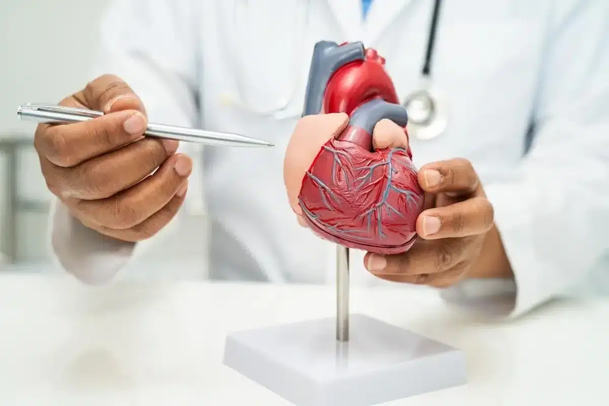 Respirația grea (dispneea) explicată de medic folosind un model al inimii