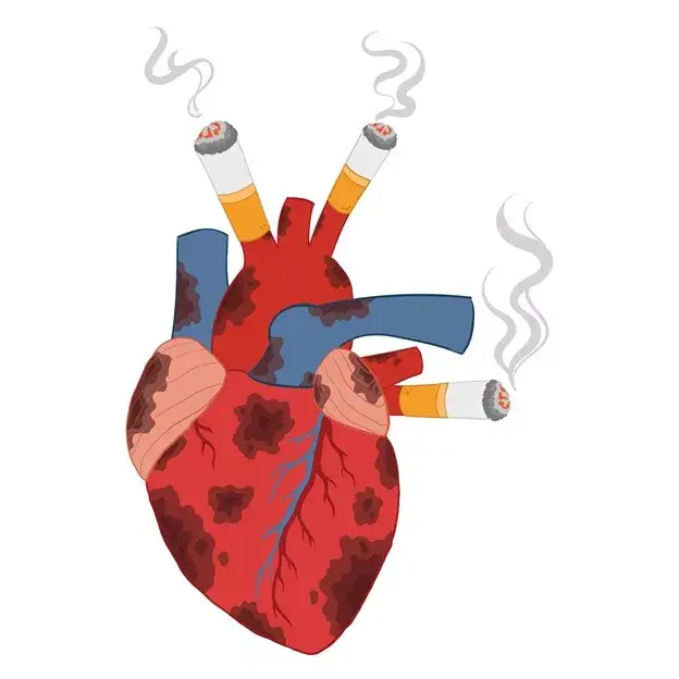 Obiceiuri nocive pentru inimă precum fumatul, sedentarismul și alimentația nesănătoasă care cresc riscul de infarct