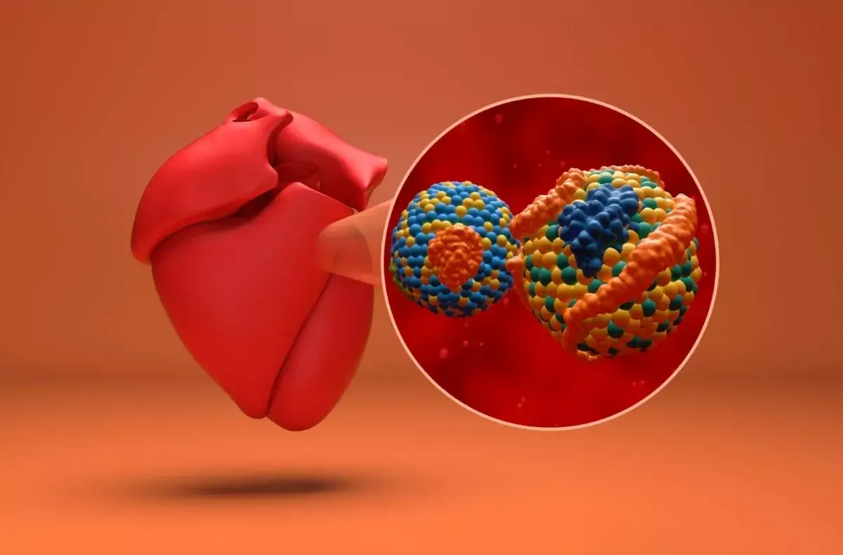 Când trebuie testată lipoproteina (a) la pacienți cu risc cardiovascular