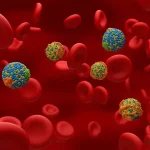 Lipoproteina (a) crescută și riscul cardiovascular explicat de medic cardiolog